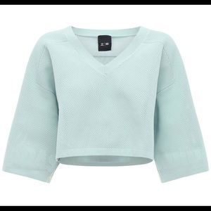 Ivy Park NWT jersey crop top